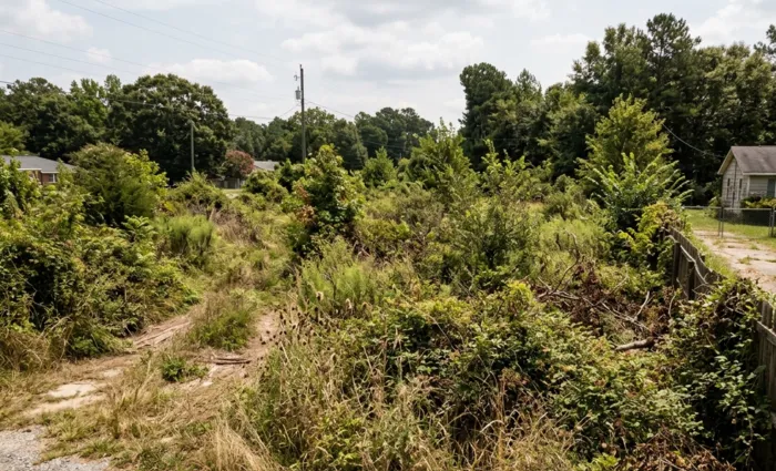 A heavily overgrown vacant lot stands covered in wild bushes, tall weeds, and dense brush requiring professional site preparation, commercial land clearing, and debris removal services.